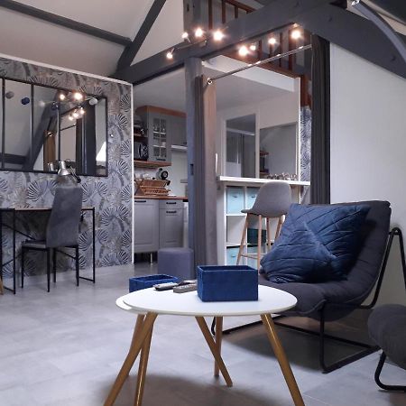 Loft Haut De Gamme Centre Montargis, Place De Parking, Local A Velos, Linge De Lits Et Serviettes, Coin Riviere Amenage, Hamac, Epicerie, Velos En Option, Tout Confort Jusqu'A 4 Voyageurs Kültér fotó