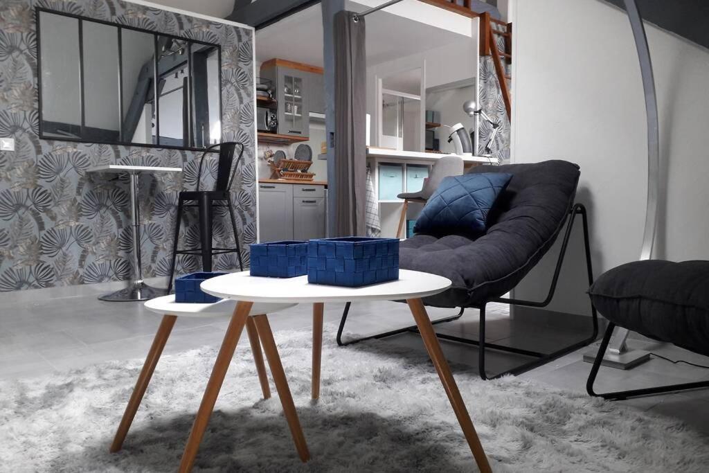 Loft Haut De Gamme Centre Montargis, Place De Parking, Local A Velos, Linge De Lits Et Serviettes, Coin Riviere Amenage, Hamac, Epicerie, Velos En Option, Tout Confort Jusqu'A 4 Voyageurs Kültér fotó