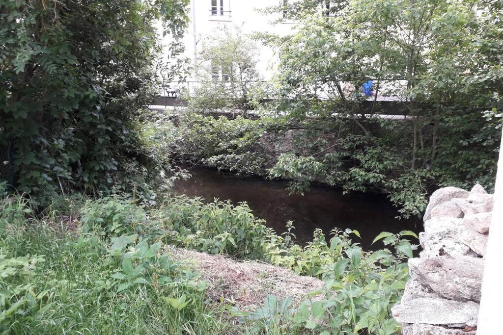 Loft Haut De Gamme Centre Montargis, Place De Parking, Local A Velos, Linge De Lits Et Serviettes, Coin Riviere Amenage, Hamac, Epicerie, Velos En Option, Tout Confort Jusqu'A 4 Voyageurs Kültér fotó