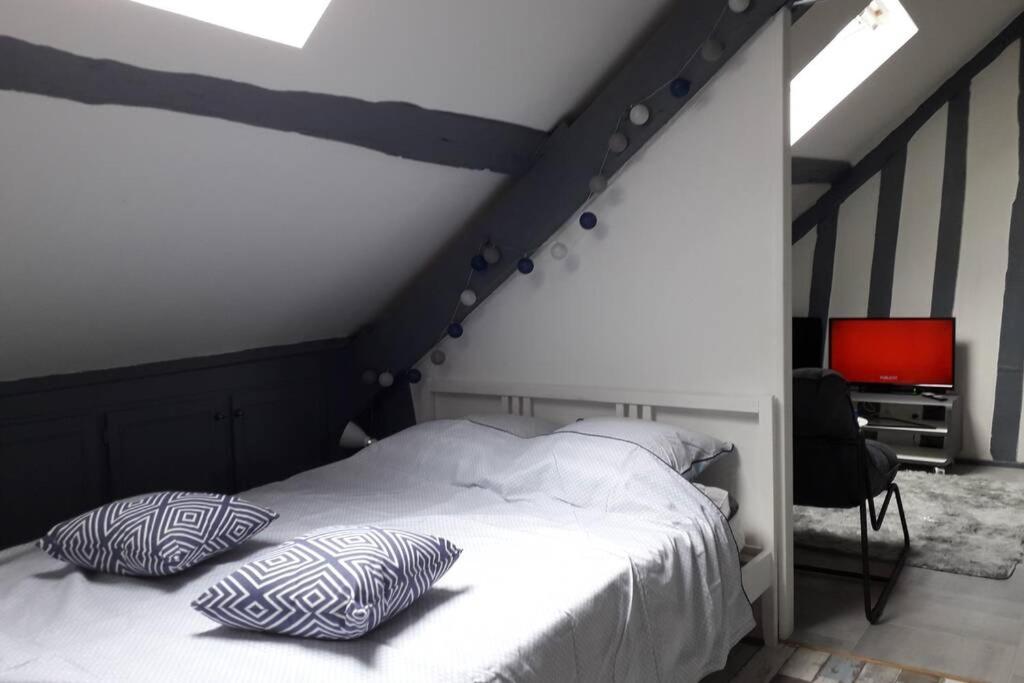 Loft Haut De Gamme Centre Montargis, Place De Parking, Local A Velos, Linge De Lits Et Serviettes, Coin Riviere Amenage, Hamac, Epicerie, Velos En Option, Tout Confort Jusqu'A 4 Voyageurs Kültér fotó