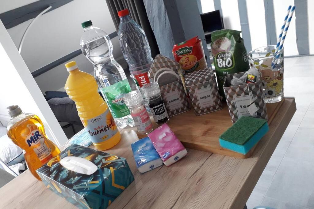 Loft Haut De Gamme Centre Montargis, Place De Parking, Local A Velos, Linge De Lits Et Serviettes, Coin Riviere Amenage, Hamac, Epicerie, Velos En Option, Tout Confort Jusqu'A 4 Voyageurs Kültér fotó