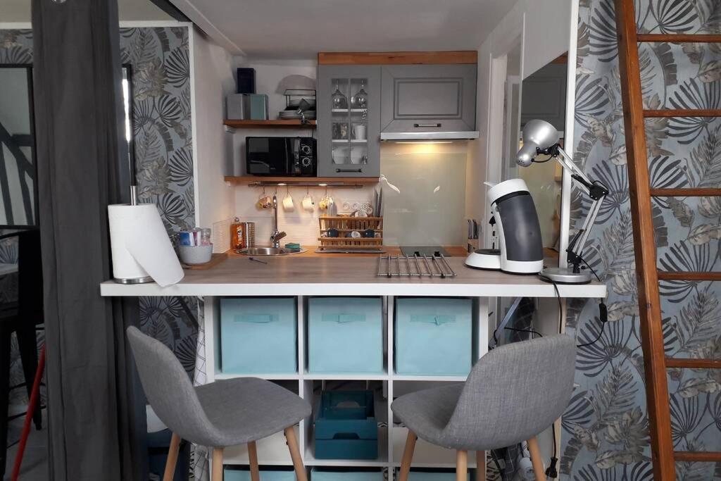 Loft Haut De Gamme Centre Montargis, Place De Parking, Local A Velos, Linge De Lits Et Serviettes, Coin Riviere Amenage, Hamac, Epicerie, Velos En Option, Tout Confort Jusqu'A 4 Voyageurs Kültér fotó