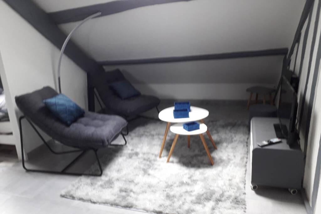 Loft Haut De Gamme Centre Montargis, Place De Parking, Local A Velos, Linge De Lits Et Serviettes, Coin Riviere Amenage, Hamac, Epicerie, Velos En Option, Tout Confort Jusqu'A 4 Voyageurs Kültér fotó
