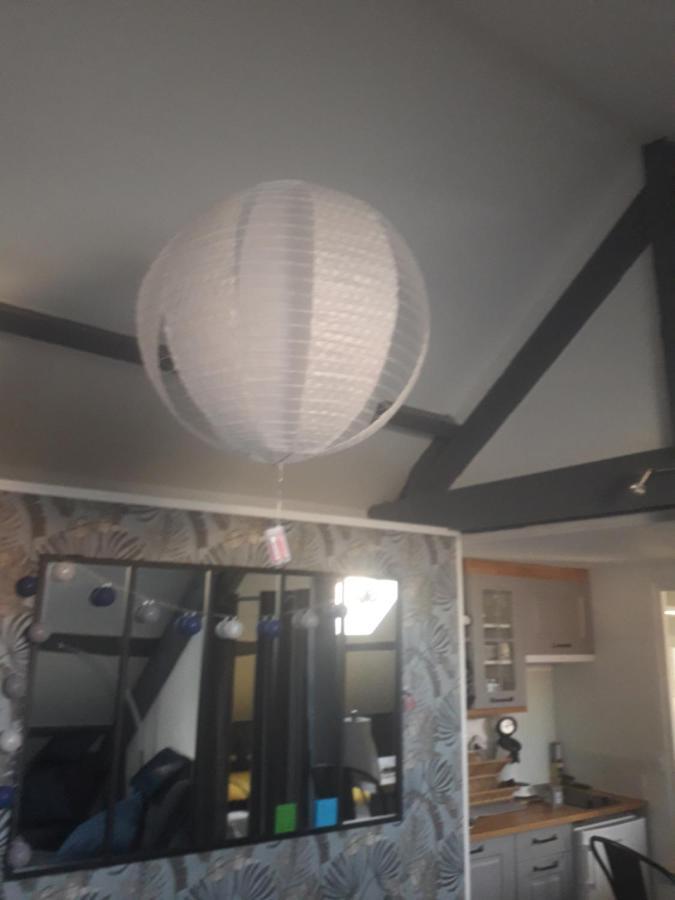 Loft Haut De Gamme Centre Montargis, Place De Parking, Local A Velos, Linge De Lits Et Serviettes, Coin Riviere Amenage, Hamac, Epicerie, Velos En Option, Tout Confort Jusqu'A 4 Voyageurs Kültér fotó