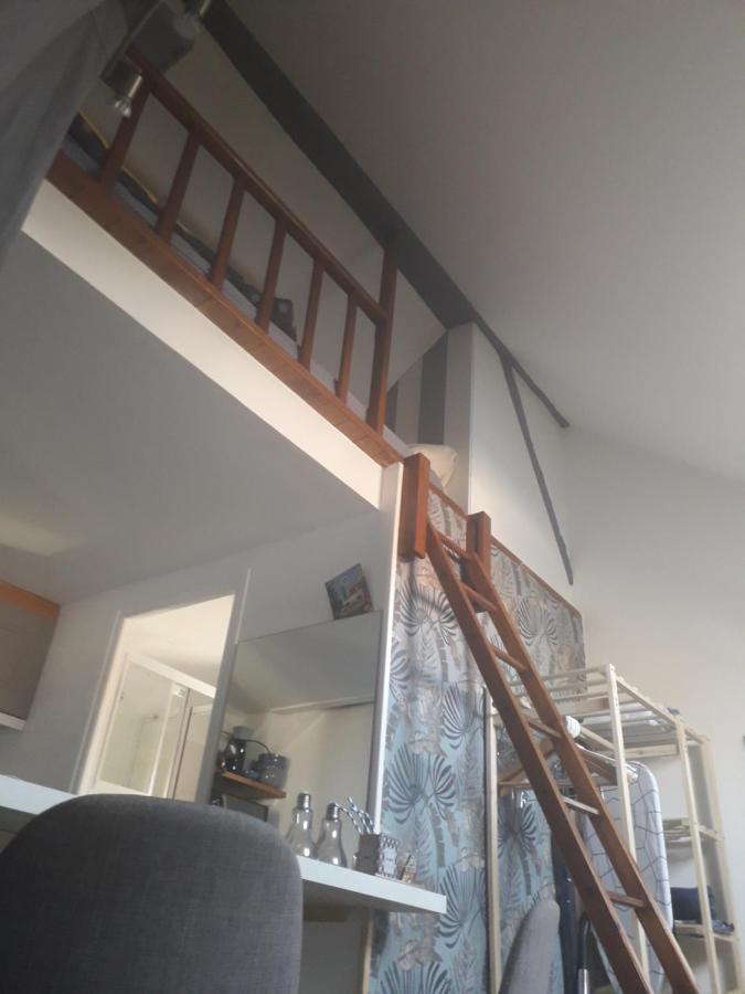 Loft Haut De Gamme Centre Montargis, Place De Parking, Local A Velos, Linge De Lits Et Serviettes, Coin Riviere Amenage, Hamac, Epicerie, Velos En Option, Tout Confort Jusqu'A 4 Voyageurs Kültér fotó