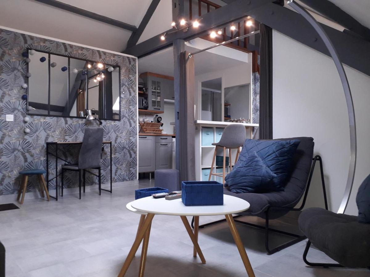 Loft Haut De Gamme Centre Montargis, Place De Parking, Local A Velos, Linge De Lits Et Serviettes, Coin Riviere Amenage, Hamac, Epicerie, Velos En Option, Tout Confort Jusqu'A 4 Voyageurs Kültér fotó